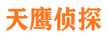 依安市侦探调查公司